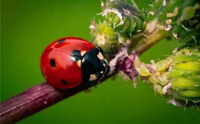 Nachhaltigkeit im Gartencenter.jpg