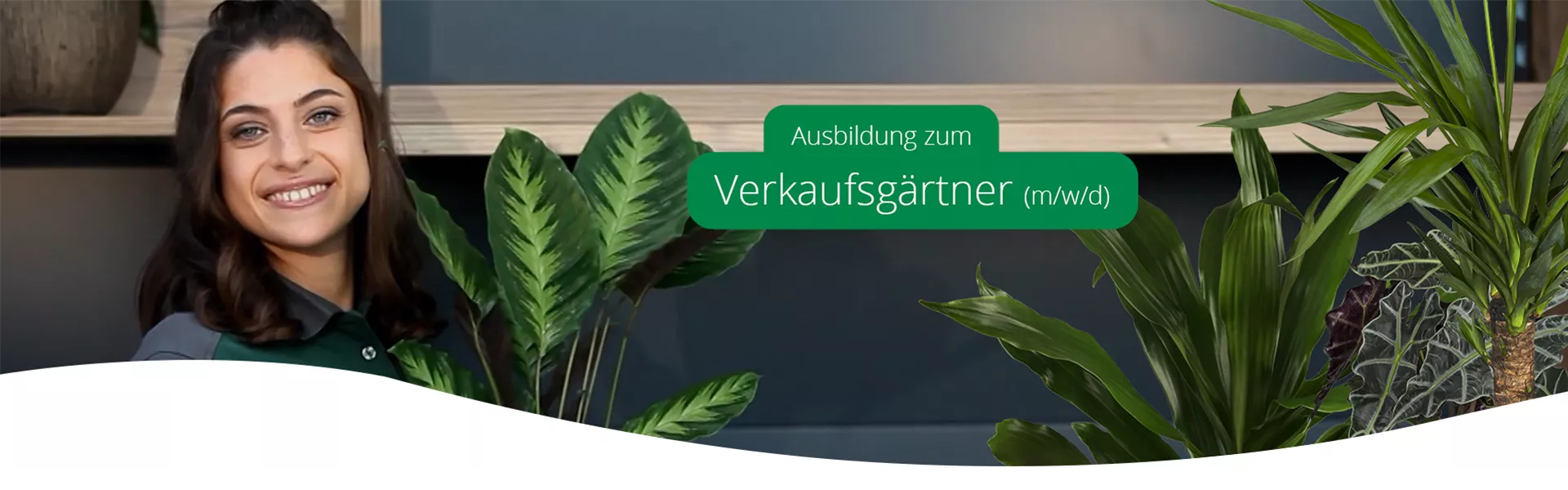 Ausbildung-Verkaufsgärtner-Gartencenter-Seebauer.png